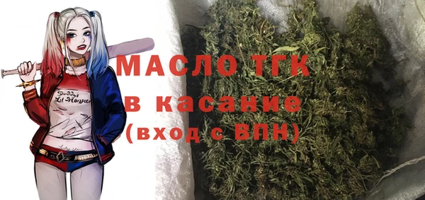 гидра Саяногорск