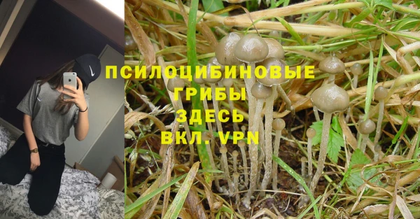 сатива Верхнеуральск