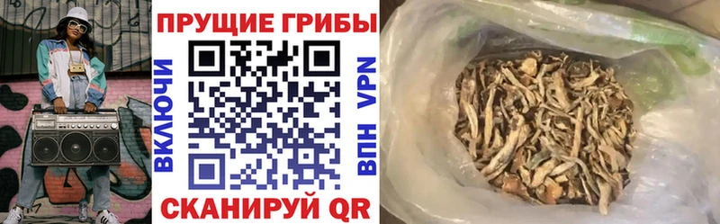 где купить наркотик  Сретенск  Псилоцибиновые грибы Magic Shrooms 